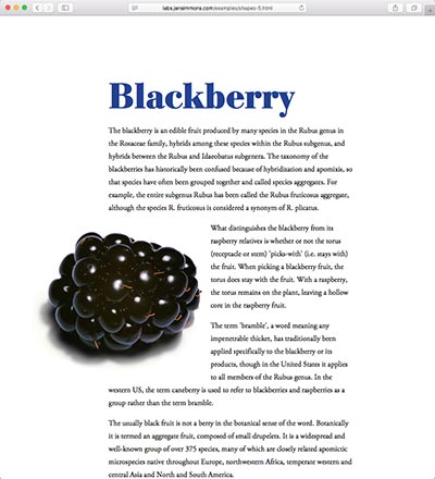 screenshot of the Blackberry shape demo