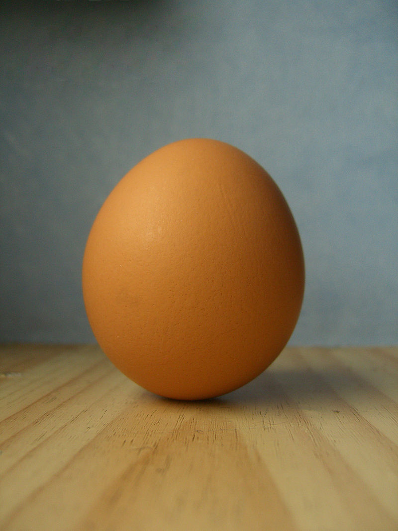 beautiful staged photograph of an egg
